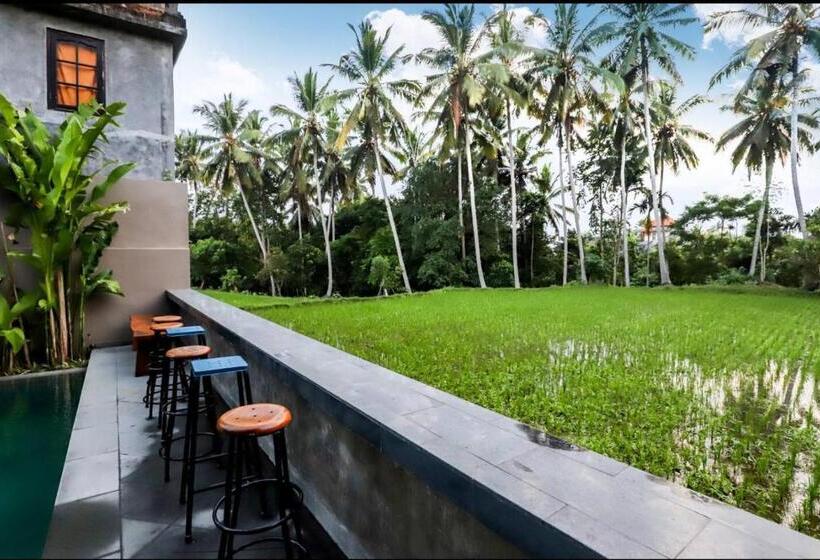 Номер Стандарт, Harmony House:work Life Balance Near Ubud Center 3