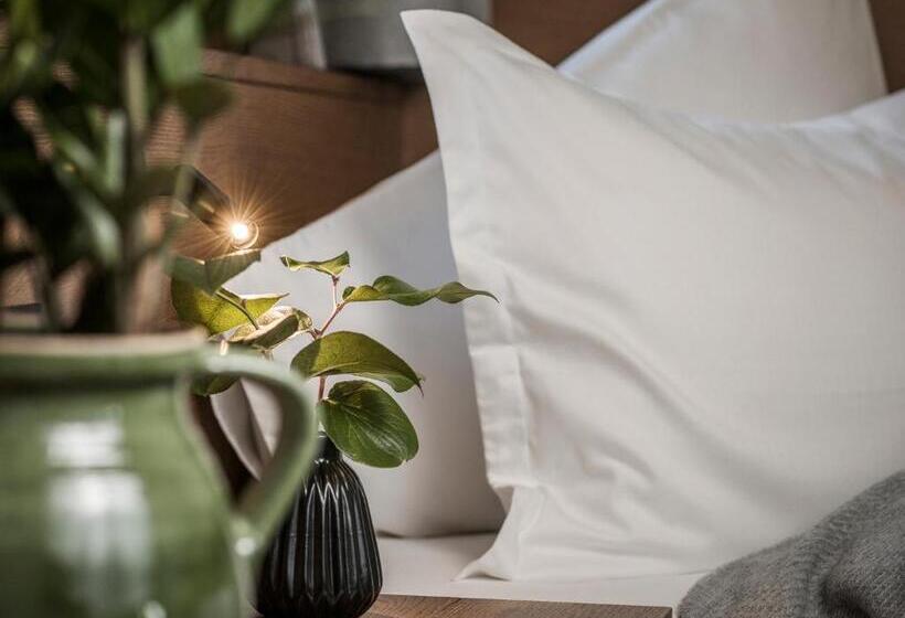 １ベッドルームのデラックスアパートメント, Aparthotel Stacherhof