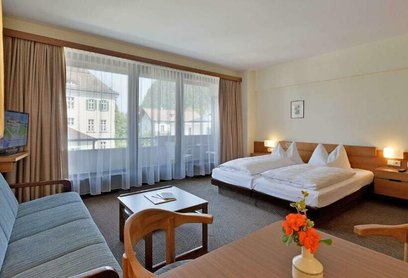 Студия Стандарт, Aparthotel Andreas Hofer