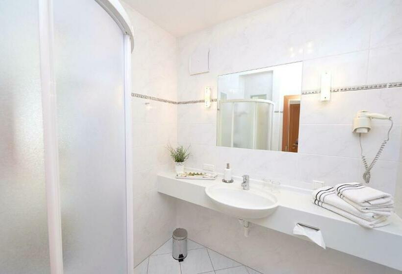 Номер Стандарт Индивидуальный, City Hotel Mödling