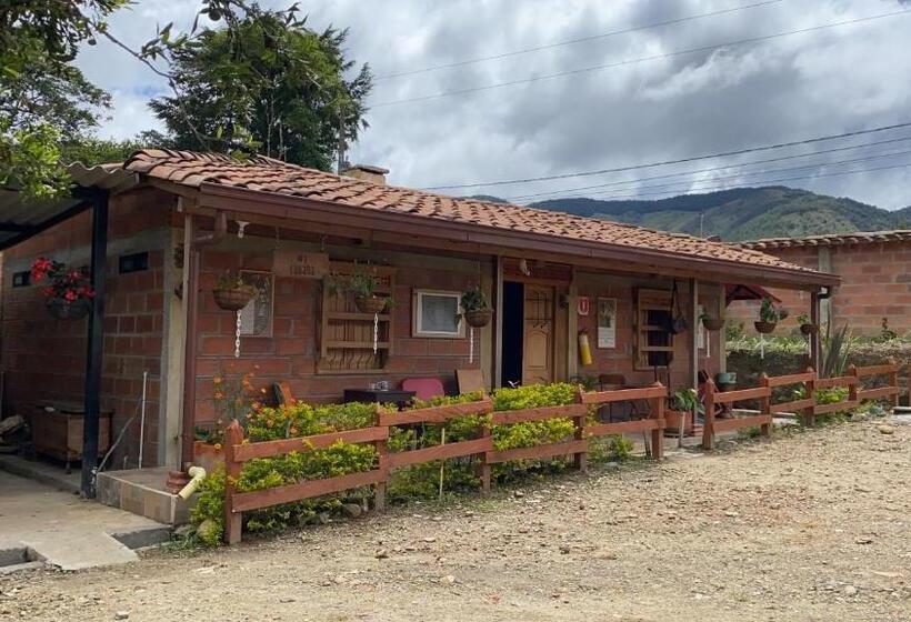 Номер Стандарт, Ciudadela El Artesano