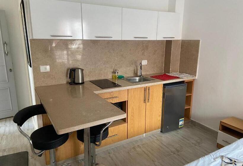 استودیوی استاندارد, E301
