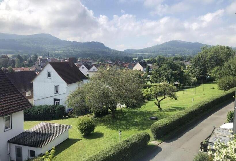 غرفة قياسية مزوَّدة بشُرفة, Harzhotel Grünett
