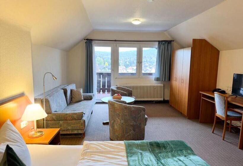 バルコニー付きスタンダードルーム, Harzhotel Grünett