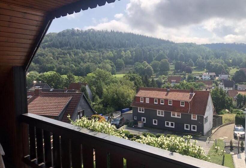 バルコニー付きデラックスルーム, Harzhotel Grünett