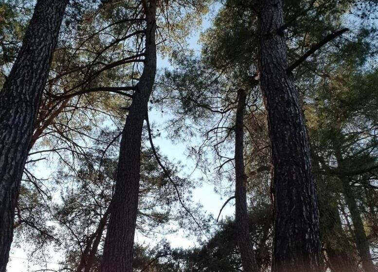 اتاق استاندارد با چشم‌انداز کوهستان, Gökbük Sereni̇ty