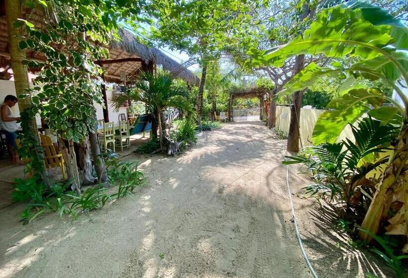 سوییت سوپریور, Pousada Casa Velha   Moitas