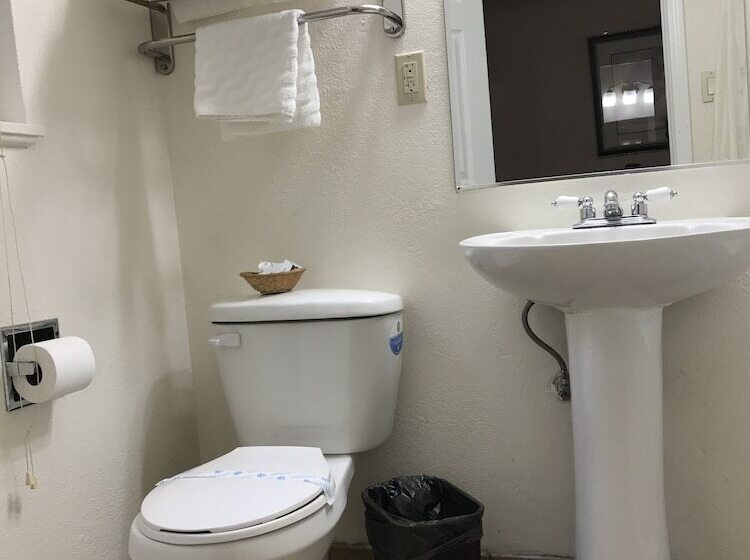 스탠다드 룸, Townhouse Motel