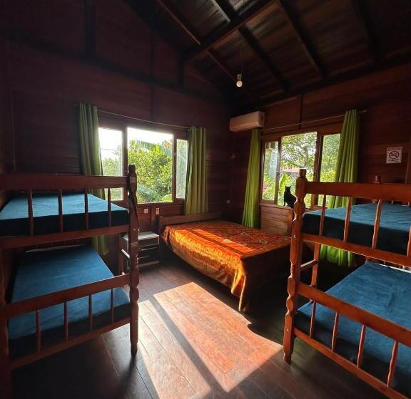 Кровать в Общей Комнате, Tô Na Guarda Hostel