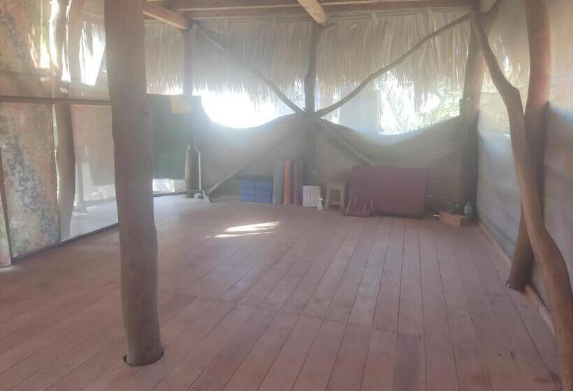 デラックススタジオ, Maza Y Tona, Prívate House With Yoga Studio