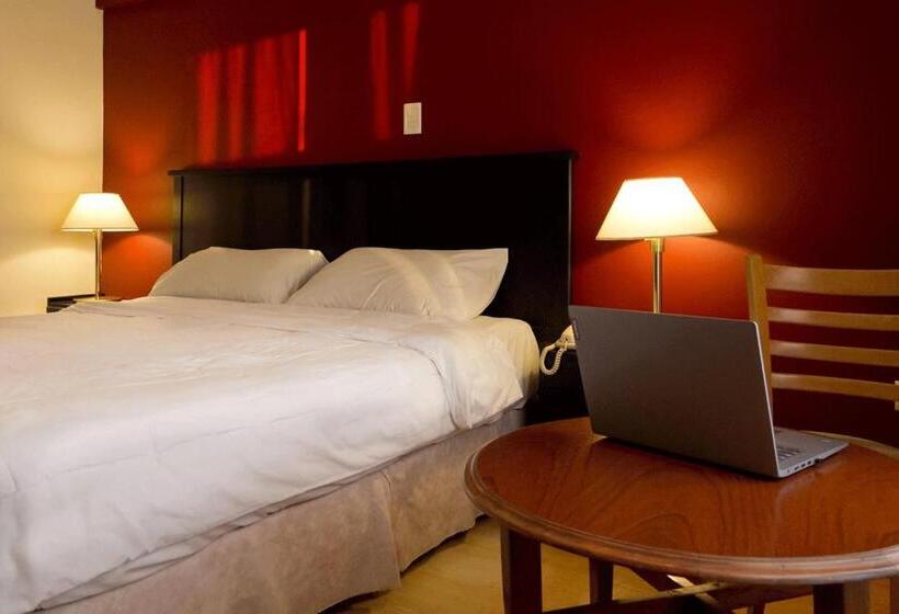 스탠다드 룸, Atlántico Suites