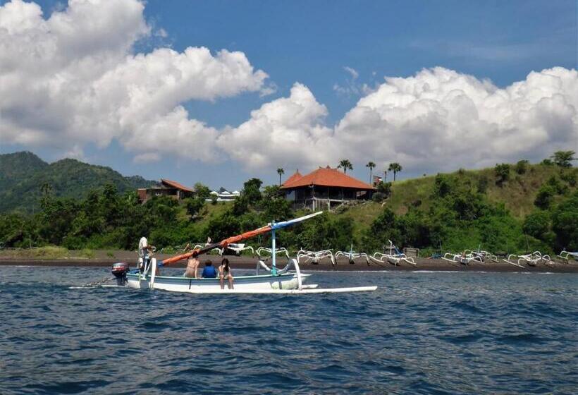 Номер Стандартный с Видом, Balila Beach Resort