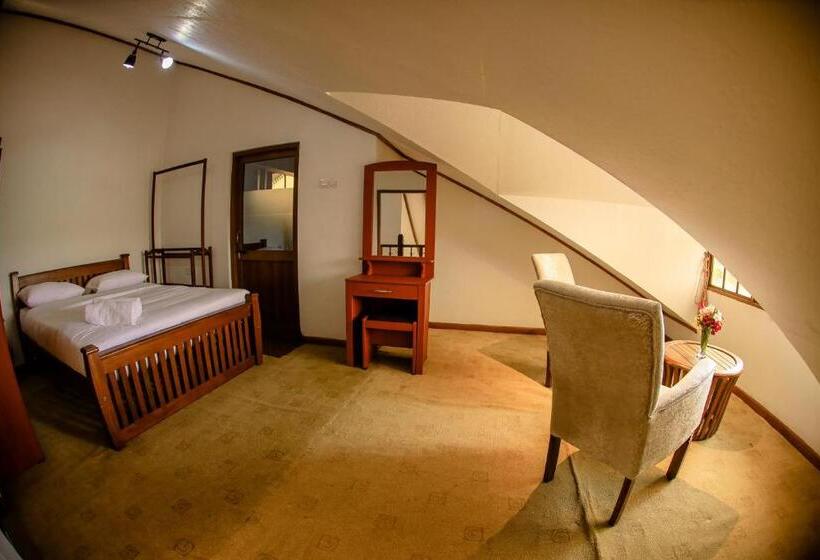 اتاق استاندارد با چشم‌انداز دریاچه, The Barnsbury House