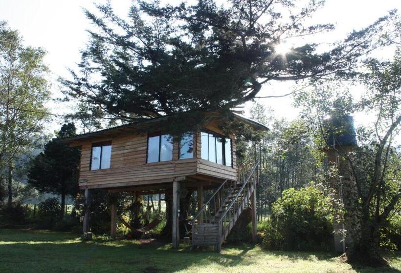 Бунгало Стандарт, Monte Verde Cabañas Y Camping
