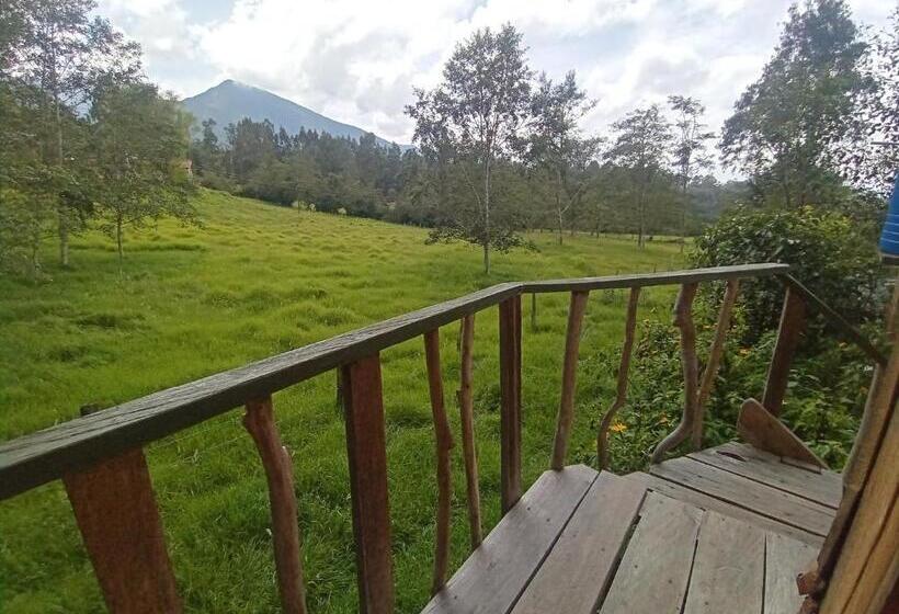Бунгало Стандарт, Monte Verde Cabañas Y Camping