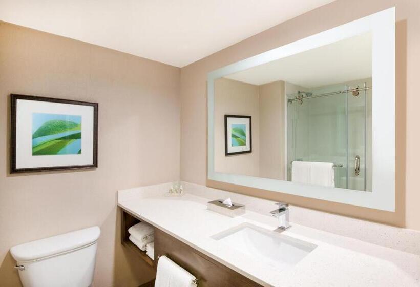 스탠다드 룸 바다 전망, All Inclusive Holiday Inn Resort Aruba   Beach Resort & Casino, An Ihg