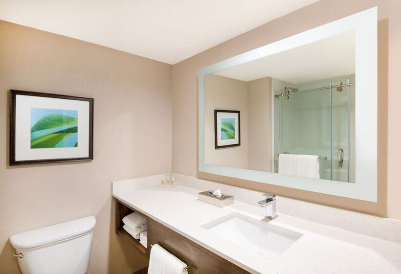 스탠다드 룸 바다 전망, All Inclusive Holiday Inn Resort Aruba   Beach Resort & Casino, An Ihg