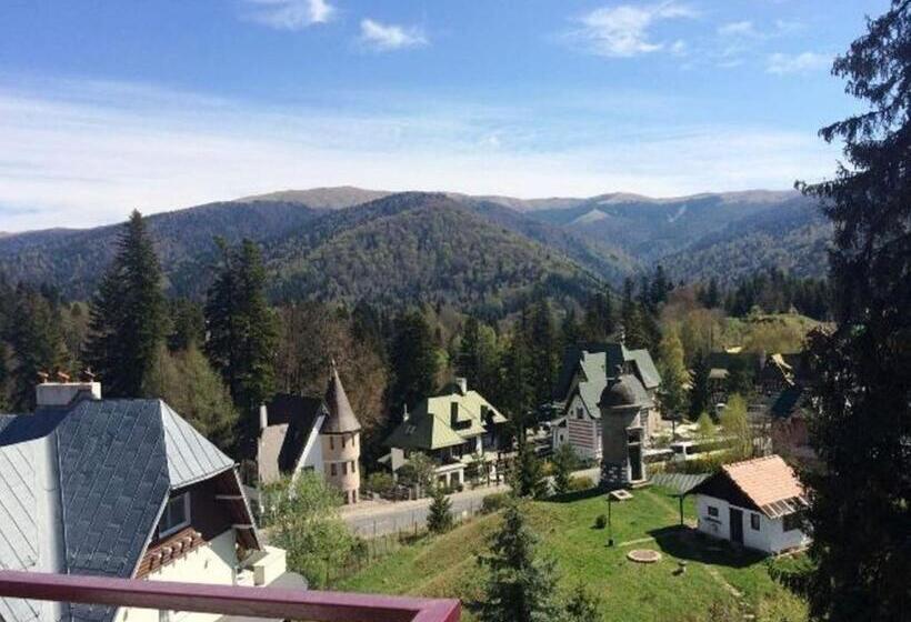 Номер Стандартный с Видом, Marea Neagra