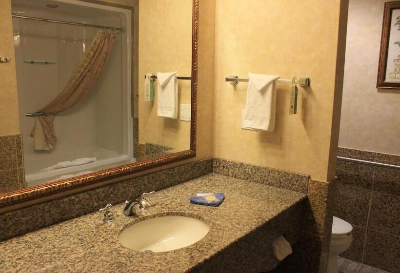 Люкс Deluxe Кровать Кинг, Rushmore Express Keystone