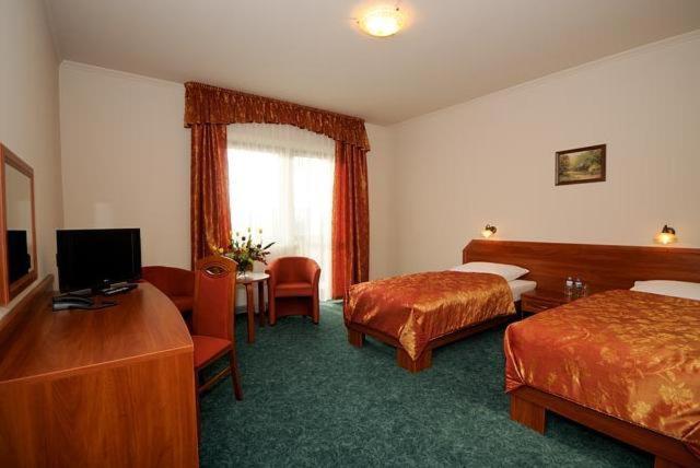 Quarto Estandar, Salamandra