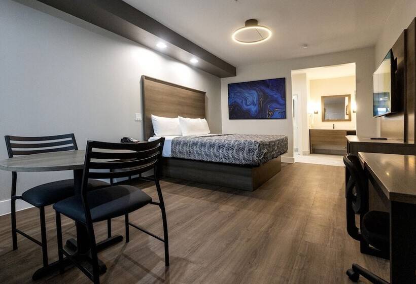 اتاق استاندارد, Palace Inn Blue Edgebrook