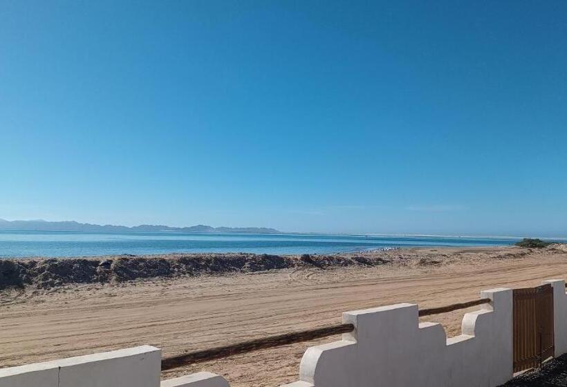 Quarto Estandar Vista Mar, Whale Tours And Sport Fishing Vista Mag Bay