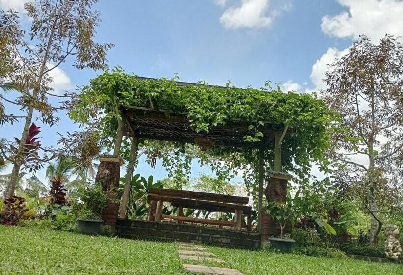 스탠다드 룸 킹사이즈 침대, Sekumpul Bali Hidden Space