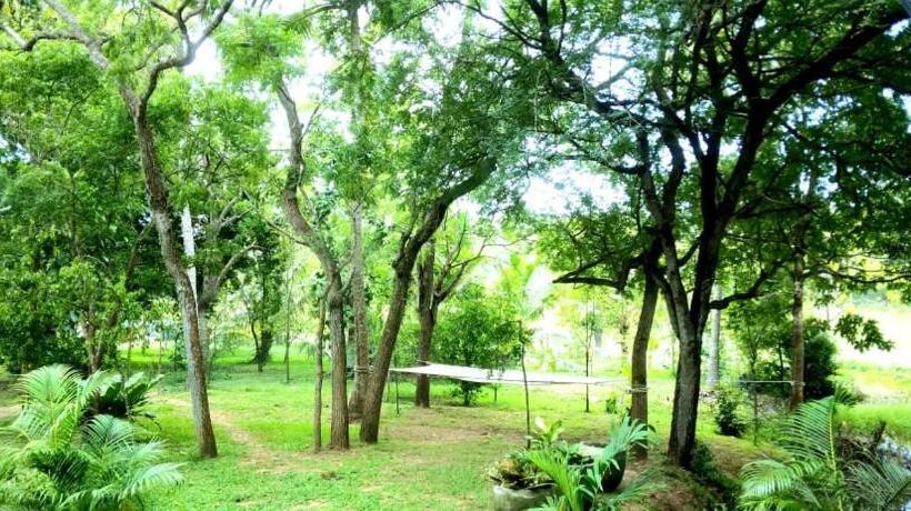 Номер Стандарт Вид на Сад, Sorry We Are Close Now!! Green View Cabana