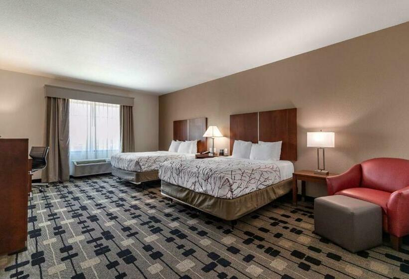 适合残疾人使用的标准间, Best Western Plus Big Lake Inn