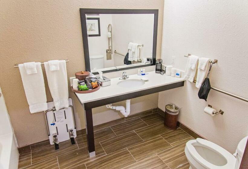 适合残疾人士使用的带超级大床的标准间, Best Western Plus Big Lake Inn