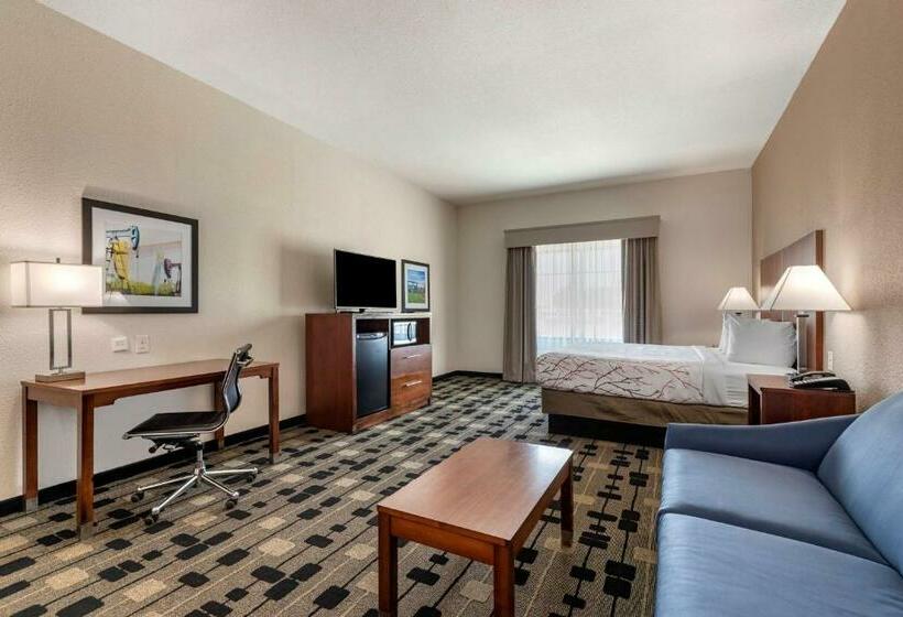 适合残疾人士使用的套间, Best Western Plus Big Lake Inn