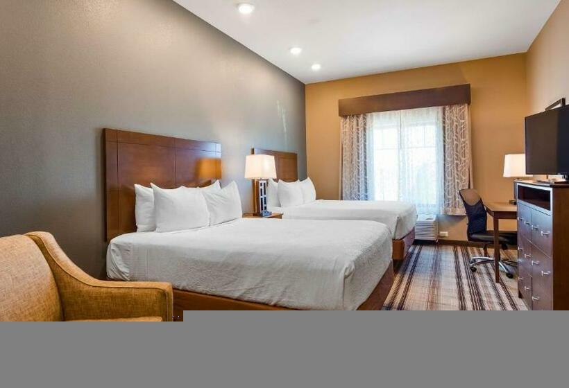 스탠다드 룸 킹사이즈 침대, Best Western Plus Overland Inn