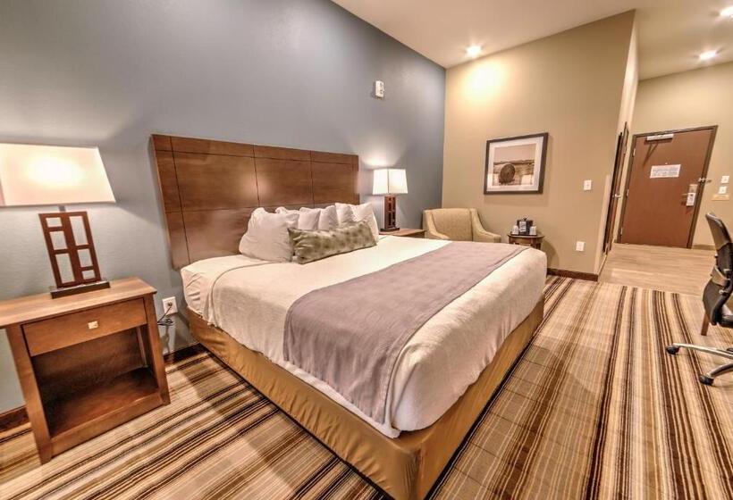 Стандартный Номер Кровать Кинг, Best Western Plus Overland Inn