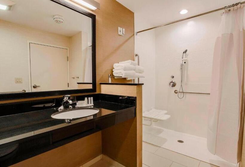 Стандартный Номер Кровать Кинг, Fairfield Inn & Suites By Marriott Snyder