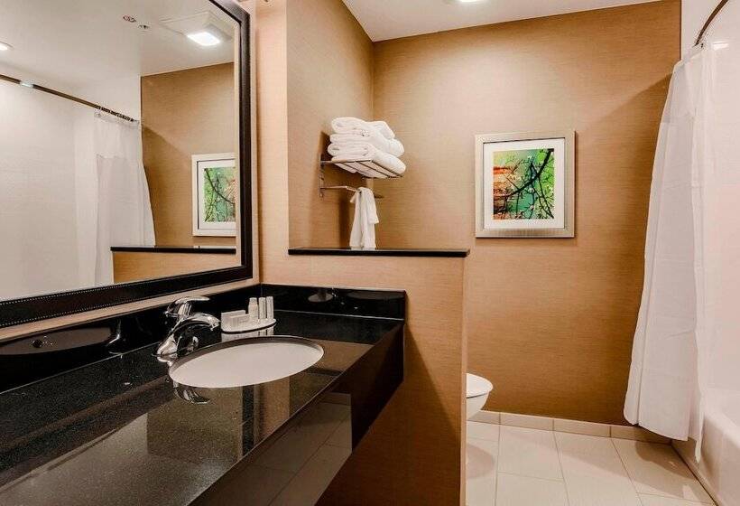 Люкс, Fairfield Inn & Suites By Marriott Snyder