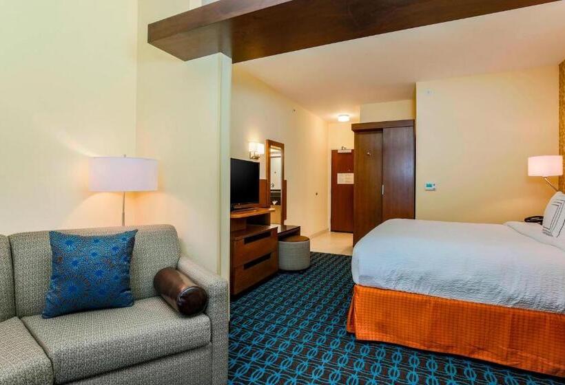 Люкс Кровать Кинг, Fairfield Inn & Suites By Marriott Snyder