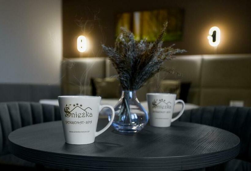 Номер Стандарт, Pensjonat śnieżka Spa