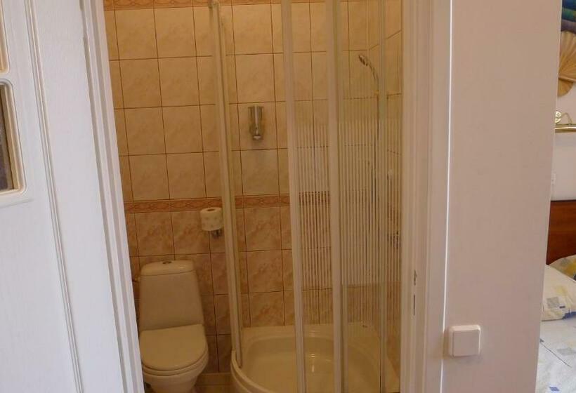 Номер Стандарт Индивидуальный, Apartamenty Pod Ratuszem