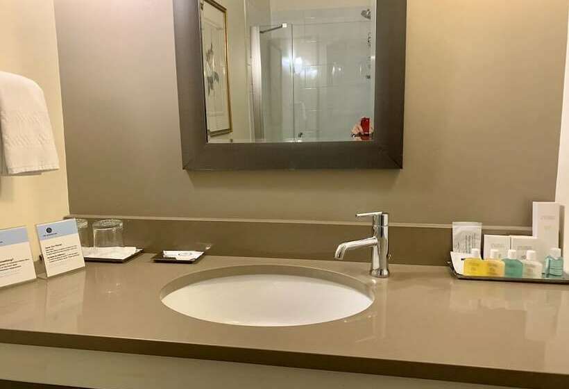 Люкс Повышенной Комфортности, The Barrington