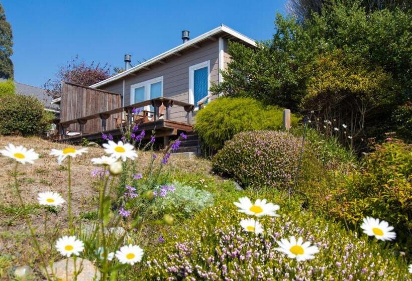 スタンダードルーム, Scp Mendocino Coast Lodge