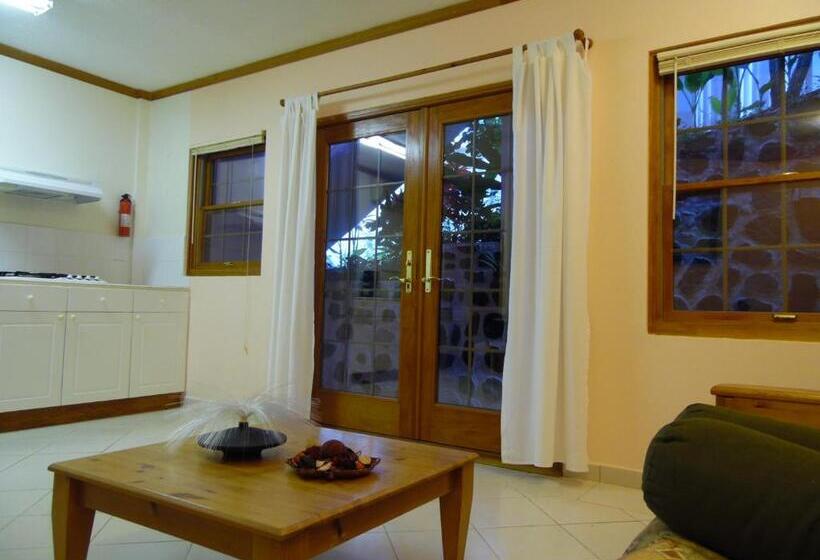 استودیو استاندارد با تخت کینگ, Vacation Suites