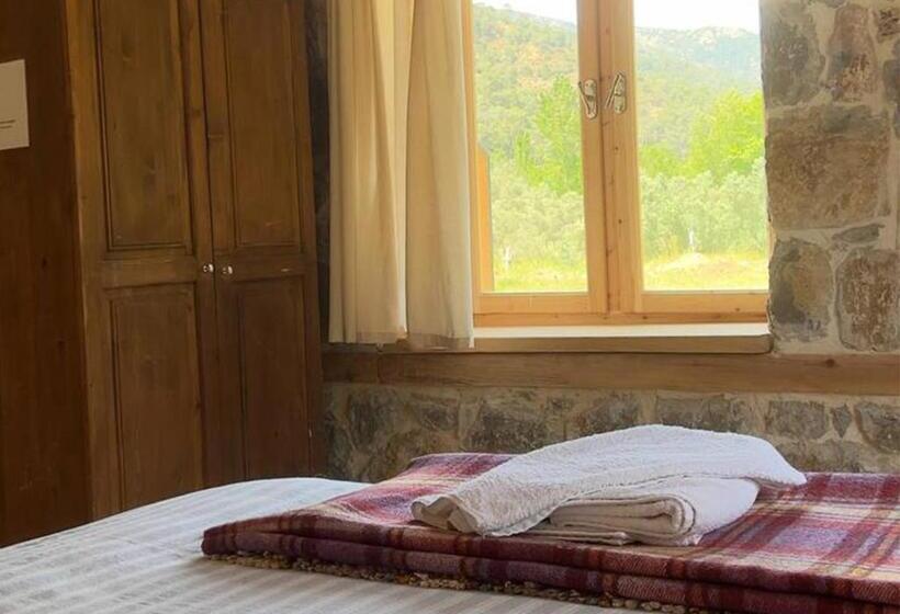 Номер Стандарт Вид на Горы, Yuva Eco Centre