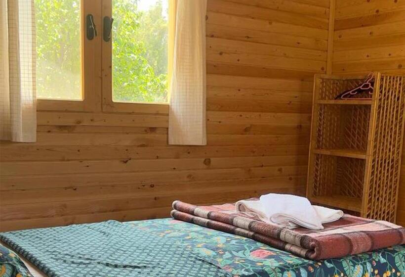 Номер Стандарт Трехместный, Yuva Eco Centre