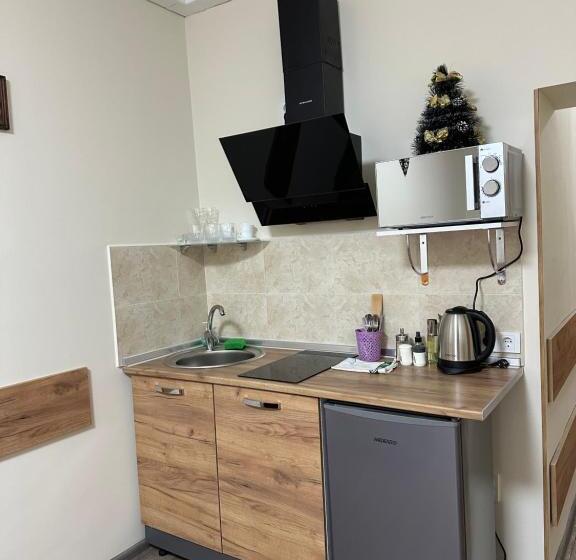 اتاق استاندارد چهار تخته, Modern Apartments Uzhgorod