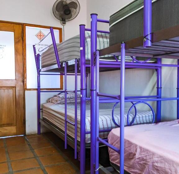 Säng i Delat Rum, Chanclas Hostel Vallarta