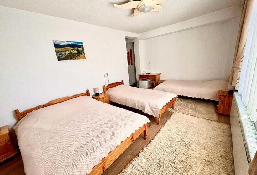 Четырехместный Номер Стандарт, Guest House Meraklii