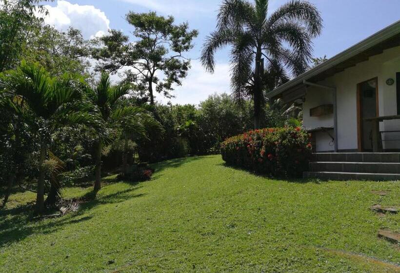 Номер Deluxe Вид на Море Боковой, Oceanfront Gem At La Joya De Lagarto