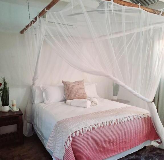 غرفة قياسية, The Wild Horizon Lodge