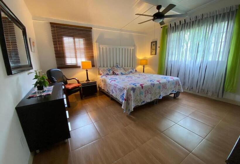 스탠다드 룸, Aeolus Guest House