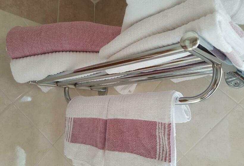 اتاق اکونومی یک تخته, Joy